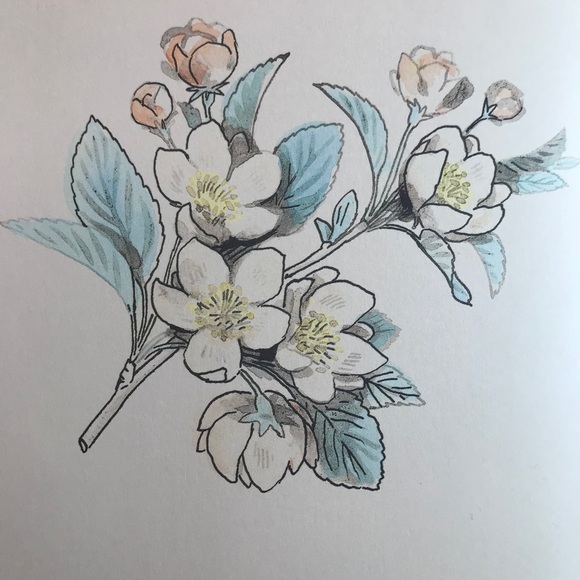 Meet your Posher, Erik - Picture 1 of 1